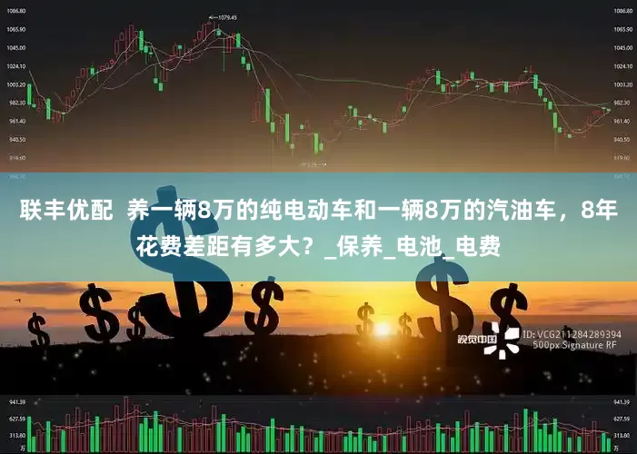联丰优配  养一辆8万的纯电动车和一辆8万的汽油车，8年花费差距有多大？_保养_电池_电费