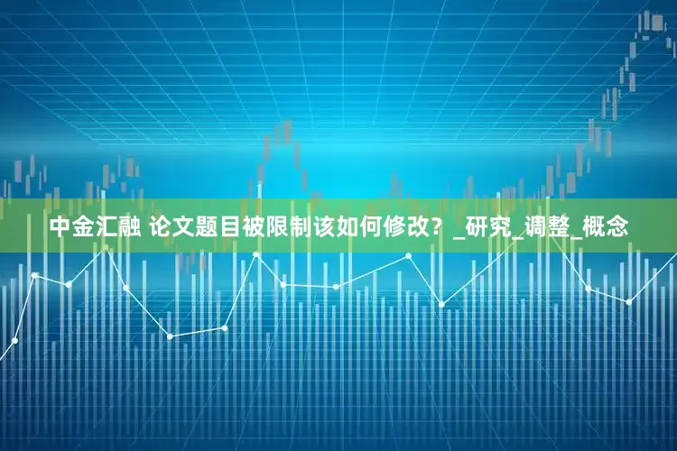 中金汇融 论文题目被限制该如何修改？_研究_调整_概念