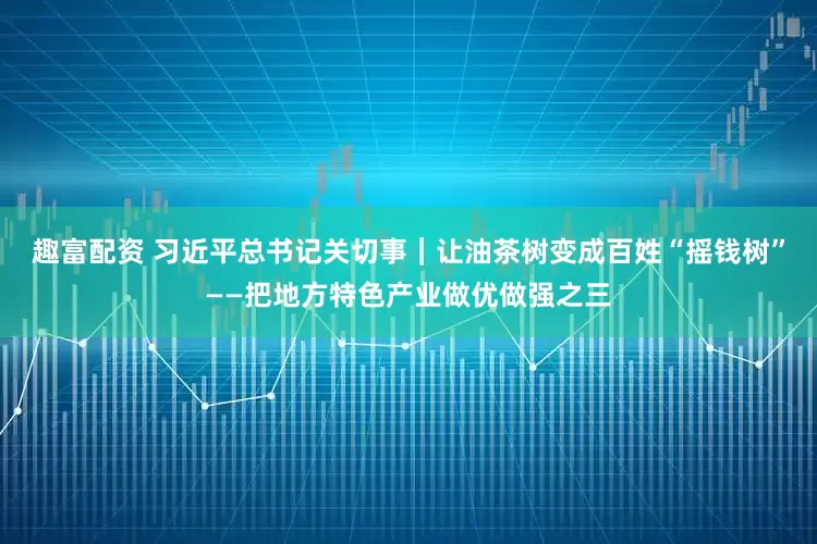 趣富配资 习近平总书记关切事｜让油茶树变成百姓“摇钱树”——把地方特色产业做优做强之三