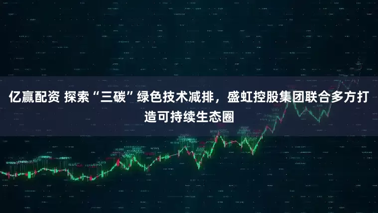 亿赢配资 探索“三碳”绿色技术减排，盛虹控股集团联合多方打造可持续生态圈