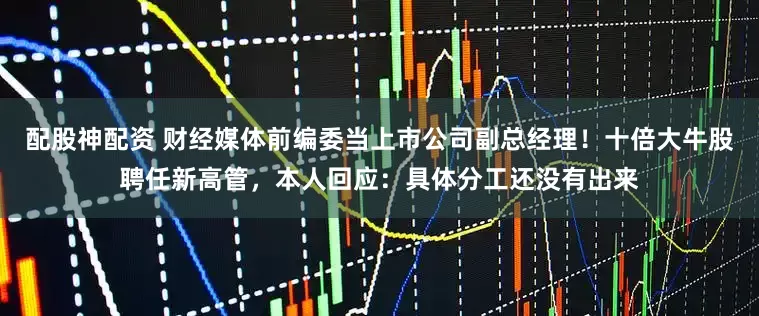 配股神配资 财经媒体前编委当上市公司副总经理!十倍大牛股聘任新高管,本人回应:具体分工还没有出来